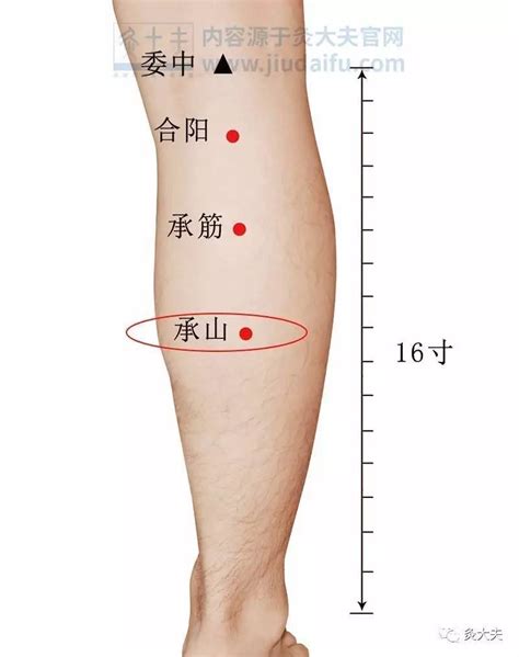 左小腿有痣